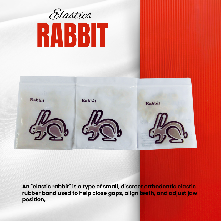 RABBIT ELASTIC RABBIT ELASTIC
